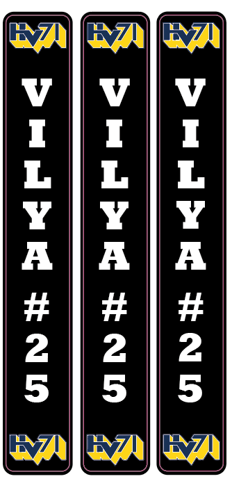 Hockeystickers